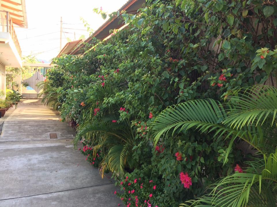 La Casa Del Italiano Bed & Breakfast Tarapoto Luaran gambar